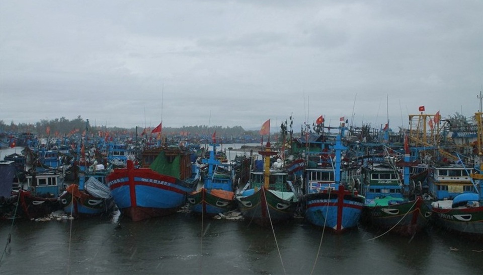 Lý Sơn tích trữ nhu yếu phẩm, đề phòng bị bão cô lập hàng chục ngày - 2 Lý Sơn tích trữ nhu yếu phẩm, đề phòng bị bão cô lập hàng chục ngày - 2