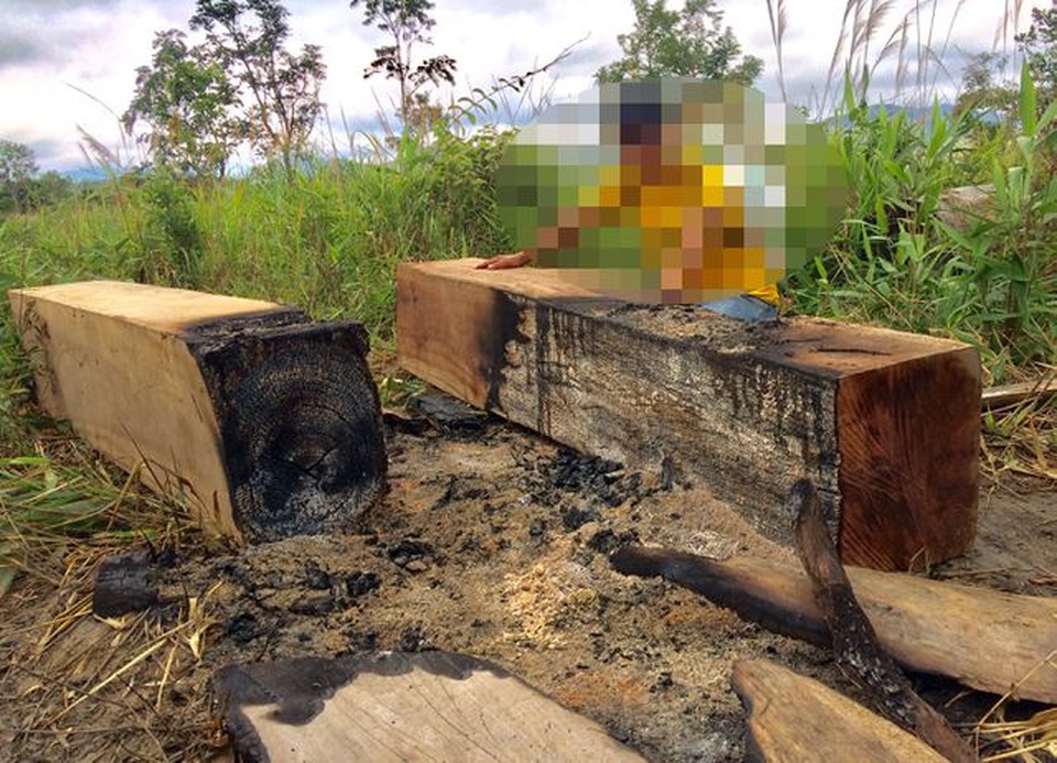 Yêu cầu kỉ luật chủ tịch huyện vì để xảy ra nhiều vụ phá rừng tại Gia Lai - 2 Yêu cầu kỉ luật chủ tịch huyện vì để xảy ra nhiều vụ phá rừng tại Gia Lai - 2