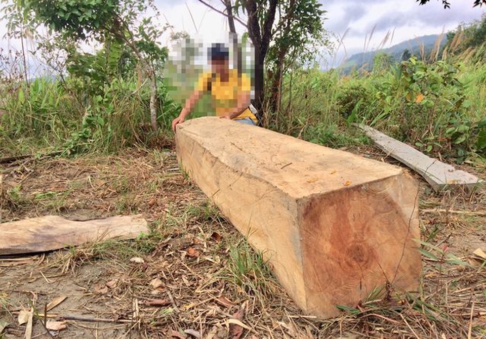 Yêu cầu kỉ luật chủ tịch huyện vì để xảy ra nhiều vụ phá rừng tại Gia Lai - 4 Yêu cầu kỉ luật chủ tịch huyện vì để xảy ra nhiều vụ phá rừng tại Gia Lai - 4