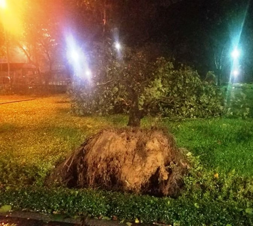 Miền Trung mưa lớn xối xả, mất điện diện rộng nhiều nơi - 14 Miền Trung mưa lớn xối xả, mất điện diện rộng nhiều nơi - 14