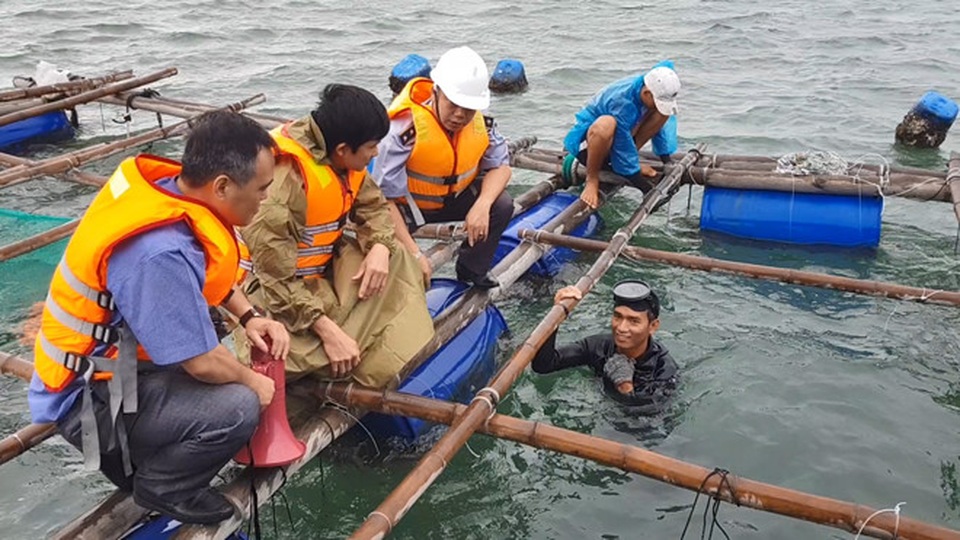 “Thủ phủ” tôm hùm chạy đua với bão - 5 “Thủ phủ” tôm hùm chạy đua với bão - 5