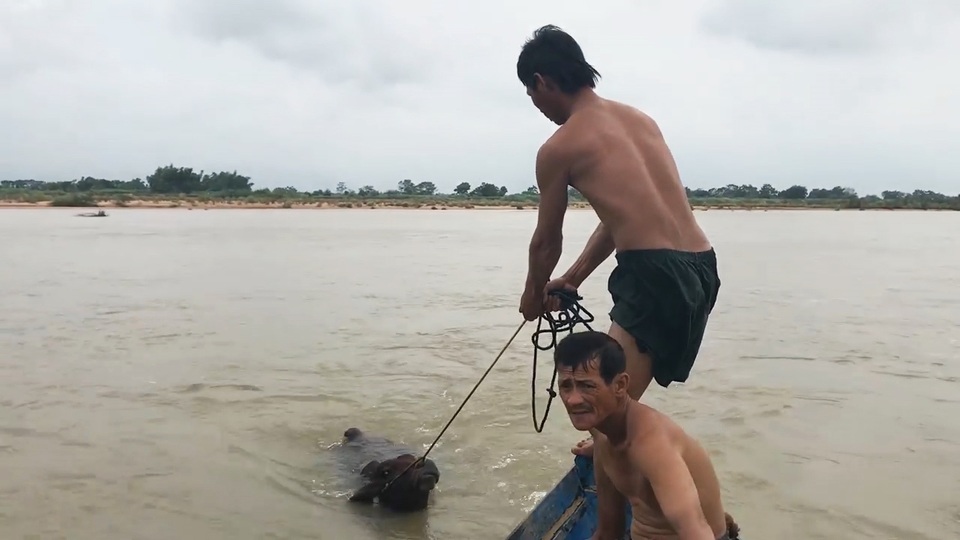Phú Yên, Ninh Thuận hối hả phòng chống bão số 5 - 7 Phú Yên, Ninh Thuận hối hả phòng chống bão số 5 - 7