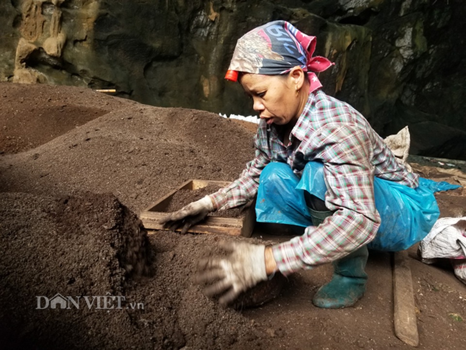 Nghề lạ ở Lạng Sơn: Gom phân vua trong hang tối kiếm ra tiền - 4 Nghề lạ ở Lạng Sơn: Gom phân vua trong hang tối kiếm ra tiền - 4