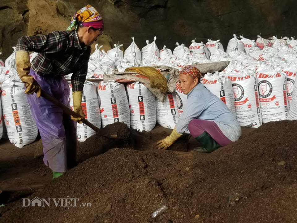 Nghề lạ ở Lạng Sơn: Gom phân vua trong hang tối kiếm ra tiền - 5 Nghề lạ ở Lạng Sơn: Gom phân vua trong hang tối kiếm ra tiền - 5