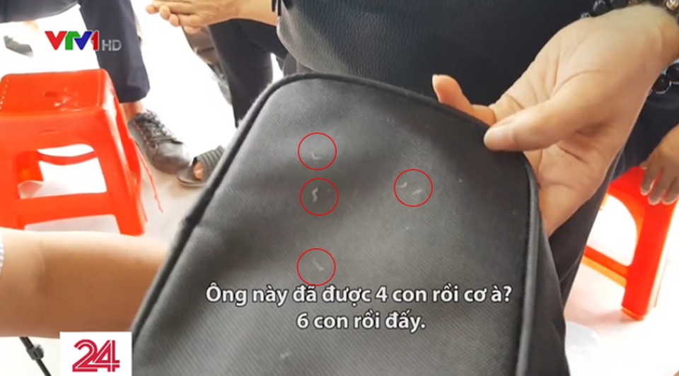 Chữa viêm xoang bằng cách bắt sâu trên mặt: Bác sĩ tai mũi họng nói gì? - 4 Chữa viêm xoang bằng cách bắt sâu trên mặt: Bác sĩ tai mũi họng nói gì? - 4