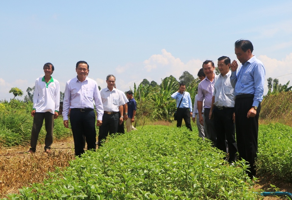 Cải cách hành chính không làm theo kiểu “đánh trống bỏ dùi” - 2 Cải cách hành chính không làm theo kiểu “đánh trống bỏ dùi” - 2