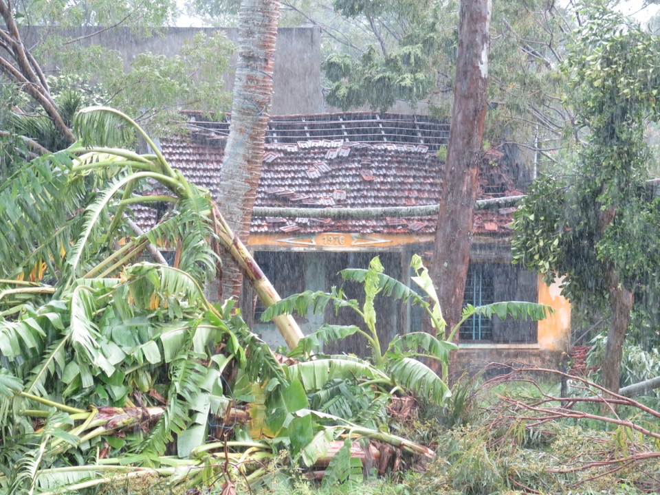 Người dân đội mưa vá mái nhà sau bão - 1 Người dân đội mưa vá mái nhà sau bão - 1