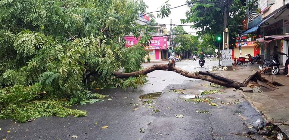 Ngổn ngang sau bão số 5 - 3 Ngổn ngang sau bão số 5 - 3