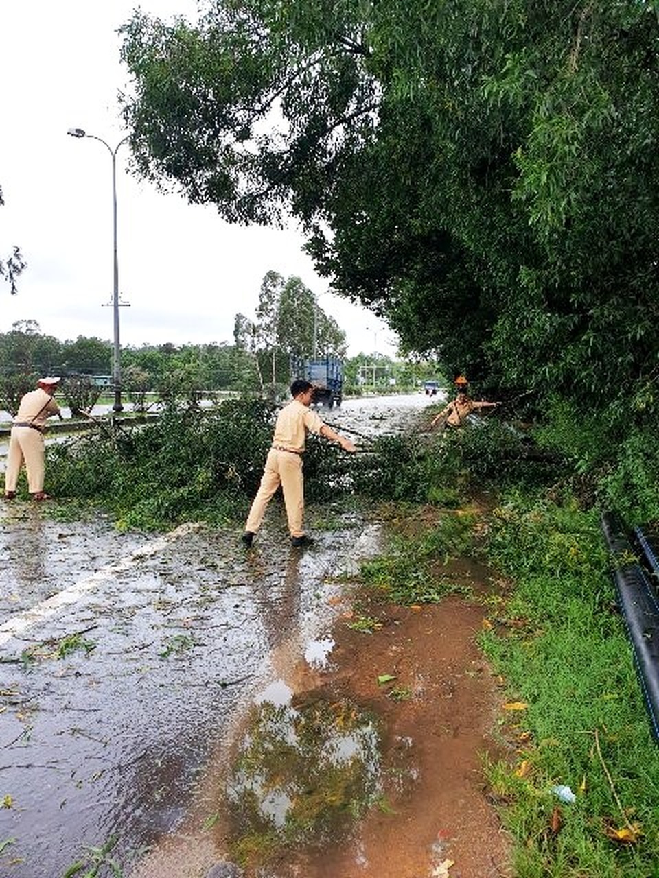 Lực lượng CSGT Công an Quảng Nam dọn dẹp cây xanh ngã đổ trên quốc lộ 1 sau mưa bão Lực lượng CSGT Quảng Nam trắng đêm dọn cây xanh bị ngã đổ sau bão