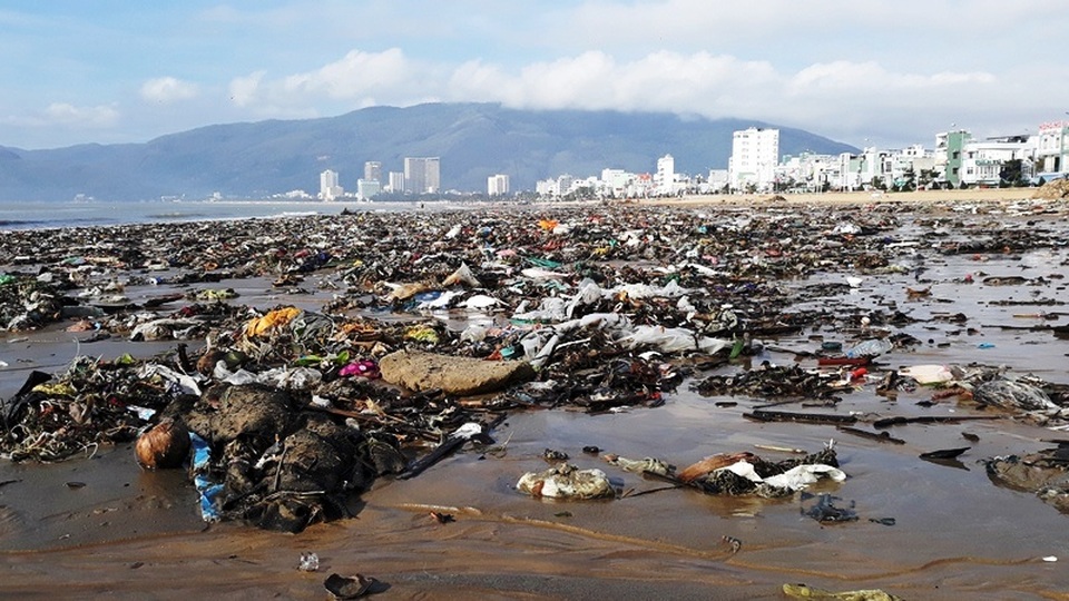 Biển Quy Nhơn ngập rác sau bão số 5, thanh niên xắn tay thu dọn  - 1
