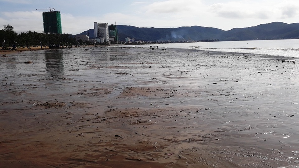 Biển Quy Nhơn ngập rác sau bão số 5, thanh niên xắn tay thu dọn  - 7