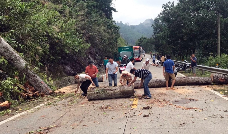 CSGT cùng người dân dọn dẹp cây cổ thụ ngã trên đường Hồ Chí Minh và ngày 30/10 Lực lượng CSGT Quảng Nam trắng đêm dọn cây xanh bị ngã đổ sau bão