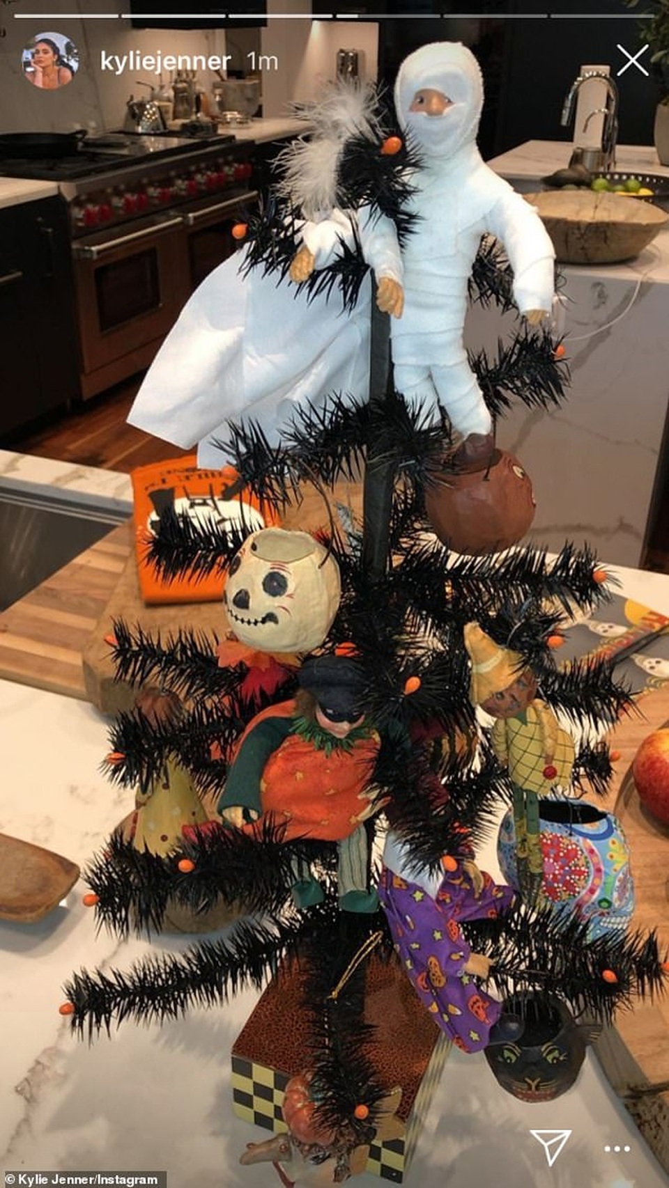 Kylie Jenner đón Halloween thế nào? - 10 Kylie Jenner đón Halloween thế nào? - 10