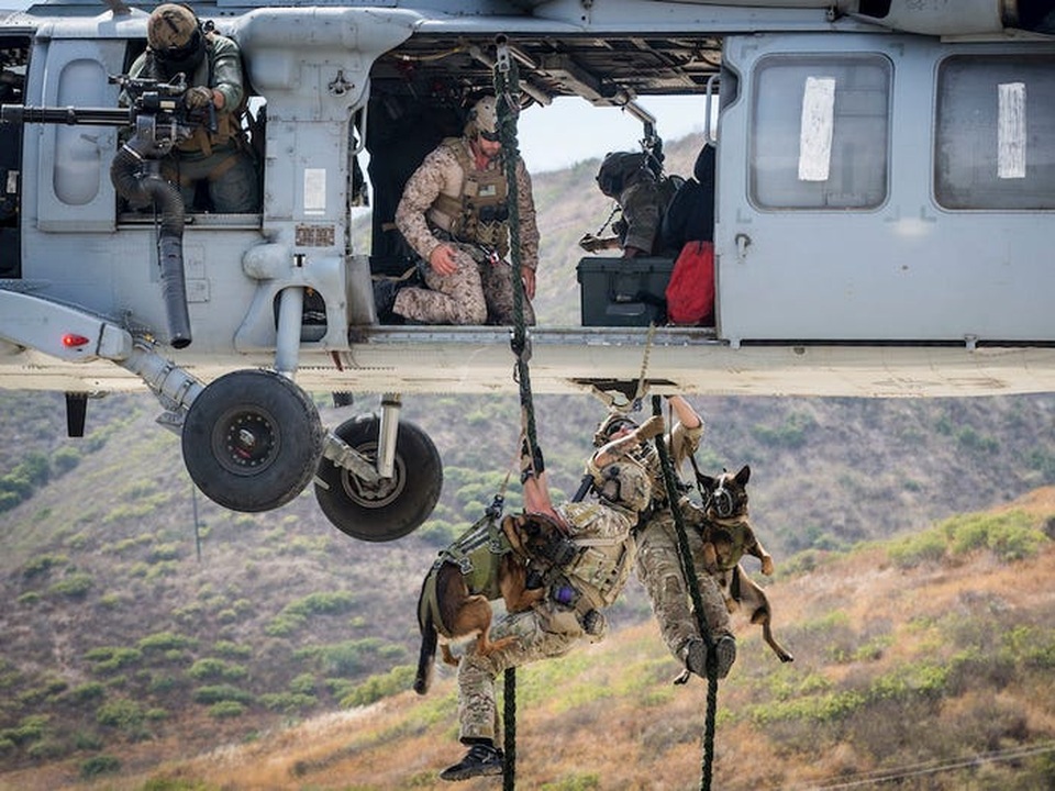Quy trình đào tạo khắc nghiệt lực lượng khuyển đặc nhiệm của quân đội Mỹ - 7
