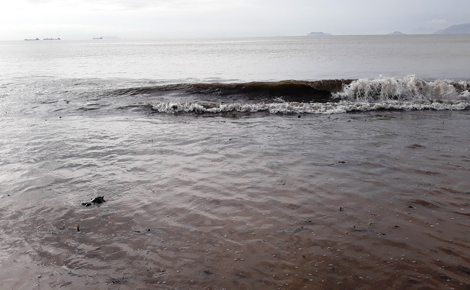 Biển Quy Nhơn ngập rác sau bão số 5, thanh niên xắn tay thu dọn  - 8