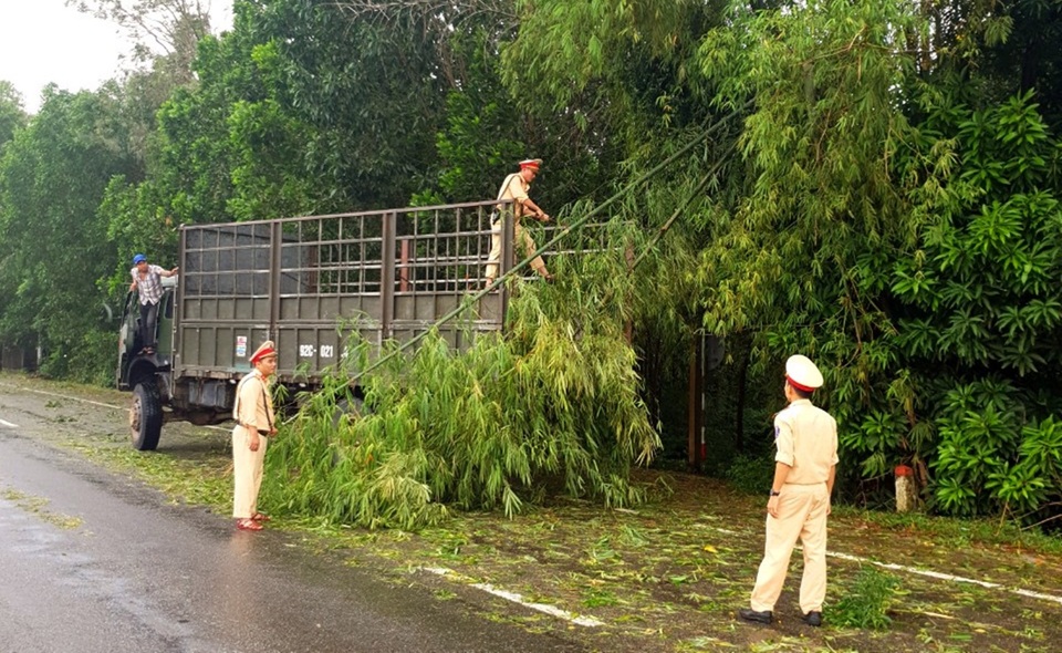 Lực lượng CSGT Công an Quảng Nam dọn dẹp cây xanh ngã đổ trên quốc lộ 1 sau mưa bão Lực lượng CSGT trắng đêm dọn cây xanh bị ngã đổ sau bão