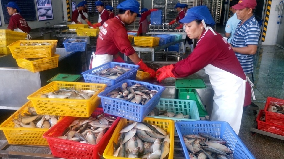 Lần đầu tiên đối tượng đầu  độc cộng đồng bằng tẩy trắng củ cải, cà rốt bị đi tù - 4