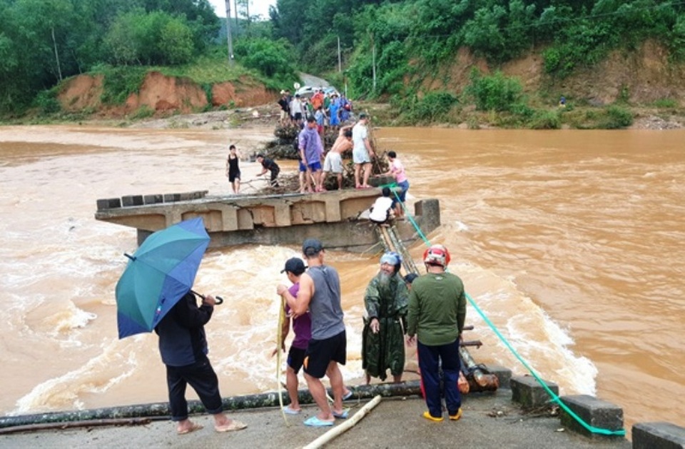 Thót tim cảnh người dân ghép cây làm cầu tạm vượt sông trong lũ - 1