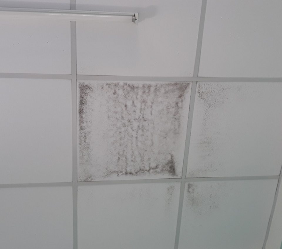 Trường mầm non tiền tỷ xây “thần tốc”, xuống cấp nhanh - 6 Trường mầm non tiền tỷ xây “thần tốc”, xuống cấp nhanh - 6