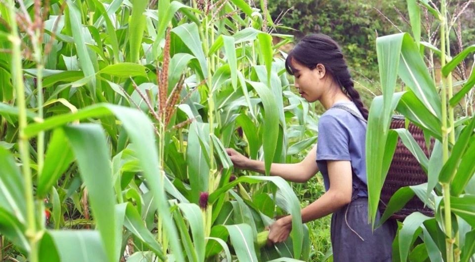 Cận cảnh cuộc sống đẹp như mơ của cô gái được ví là “tiên nữ đồng quê” của Việt Nam - 7 Cận cảnh cuộc sống đẹp như mơ của cô gái được ví là “tiên nữ đồng quê” của Việt Nam - 7
