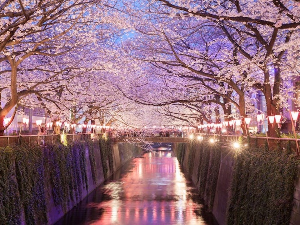 Tokyo là thành phố đẹp nhất thế giới và đây là lí do tại sao - 10 Tokyo là thành phố đẹp nhất thế giới và đây là lí do tại sao - 10