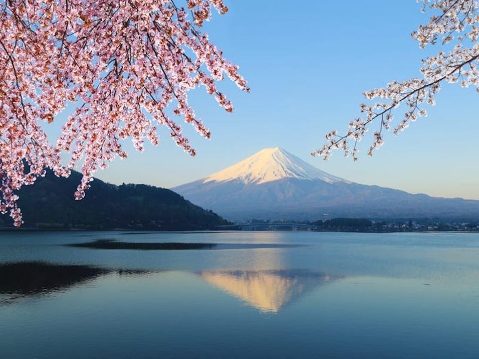 Tokyo là thành phố đẹp nhất thế giới và đây là lí do tại sao - 12 Tokyo là thành phố đẹp nhất thế giới và đây là lí do tại sao - 12