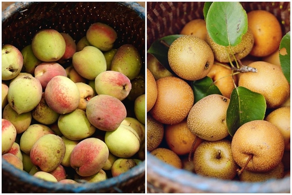 Cận cảnh cuộc sống đẹp như mơ của cô gái được ví là “tiên nữ đồng quê” của Việt Nam - 9 Cận cảnh cuộc sống đẹp như mơ của cô gái được ví là “tiên nữ đồng quê” của Việt Nam - 9