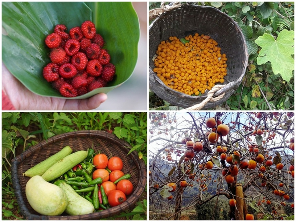 Cận cảnh cuộc sống đẹp như mơ của cô gái được ví là “tiên nữ đồng quê” của Việt Nam - 10 Cận cảnh cuộc sống đẹp như mơ của cô gái được ví là “tiên nữ đồng quê” của Việt Nam - 10