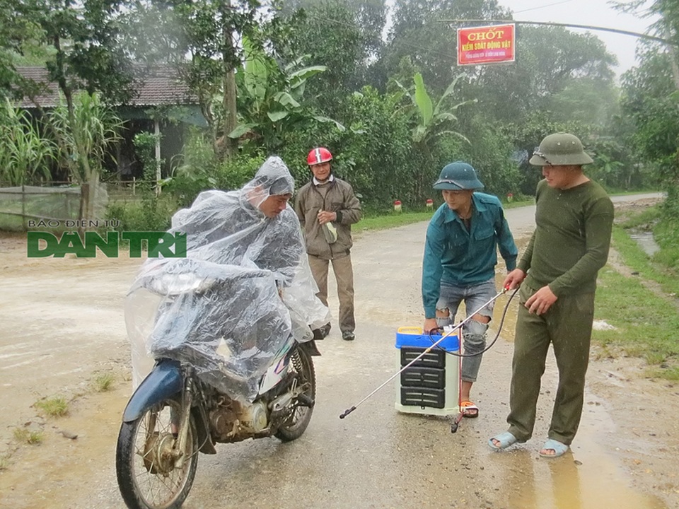 Xã biên giới lo sốt vó khi hàng chục con bò bị dịch lở mồm long móng - 3 Xã biên giới lo sốt vó khi hàng chục con bò bị dịch lở mồm long móng - 3