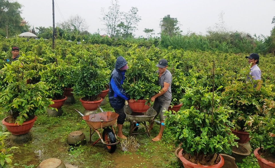 Lo lũ, dân tất bật chuyển mai chạy lũ - 4