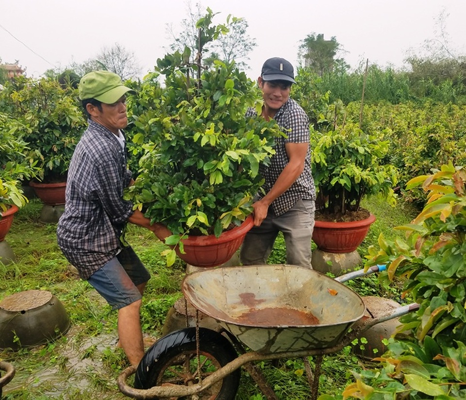 Lo lũ, dân tất bật chuyển mai chạy lũ - 1