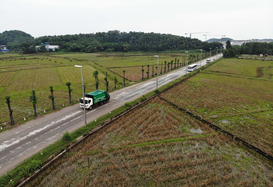 Hàng cây hoa sữa chuyển từ Hồ Tây đến bãi rác Nam Sơn giờ ra sao? - 12 Hàng cây hoa sữa chuyển từ Hồ Tây đến bãi rác Nam Sơn giờ ra sao? - 12