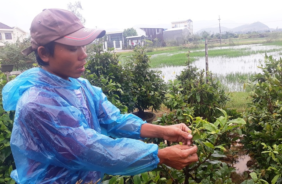 Lo lũ, dân tất bật chuyển mai chạy lũ - 3