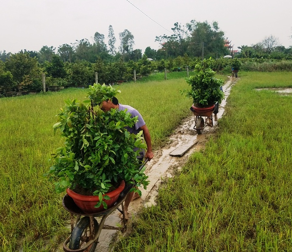 Lo lũ, dân tất bật chuyển mai chạy lũ - 5