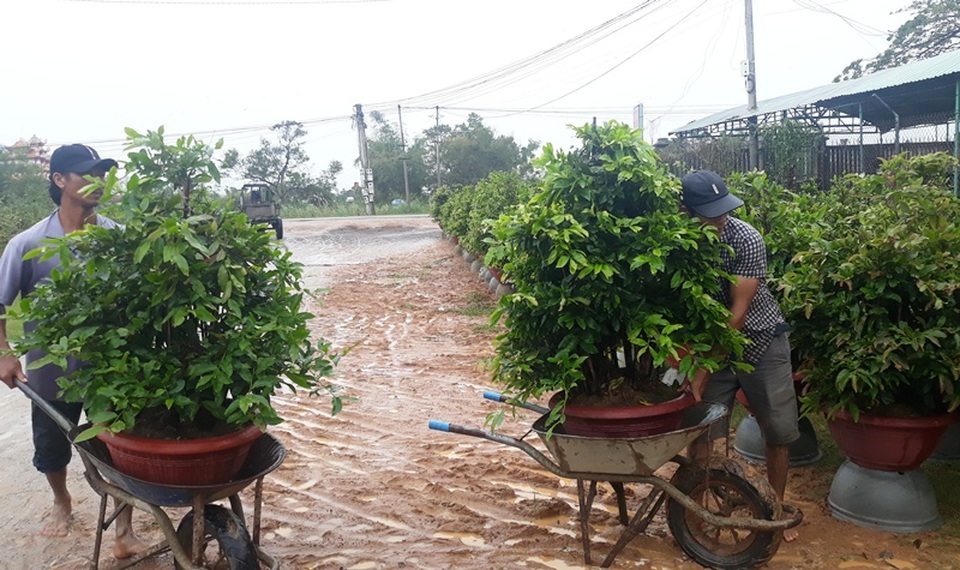 Lo lũ, dân tất bật chuyển mai chạy lũ - 7