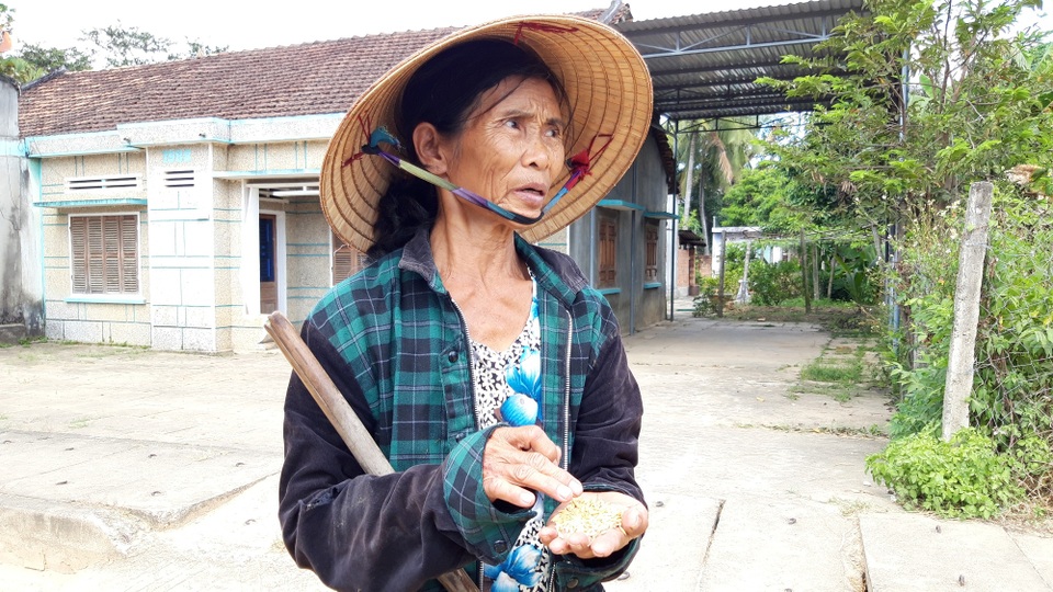 Người trồng lúa ‘khóc ròng’ vì dịch bệnh - 3 Người trồng lúa ‘khóc ròng’ vì dịch bệnh - 3