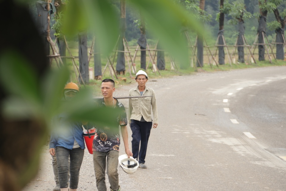 Hàng cây hoa sữa chuyển từ Hồ Tây đến bãi rác Nam Sơn giờ ra sao? - 6 Hàng cây hoa sữa chuyển từ Hồ Tây đến bãi rác Nam Sơn giờ ra sao? - 6