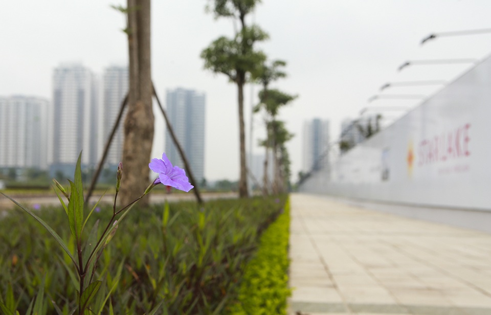 Hà Nội: Xuất hiện thêm thiên đường hoa sữa mới - 9 Hà Nội: Xuất hiện thêm thiên đường hoa sữa mới - 9