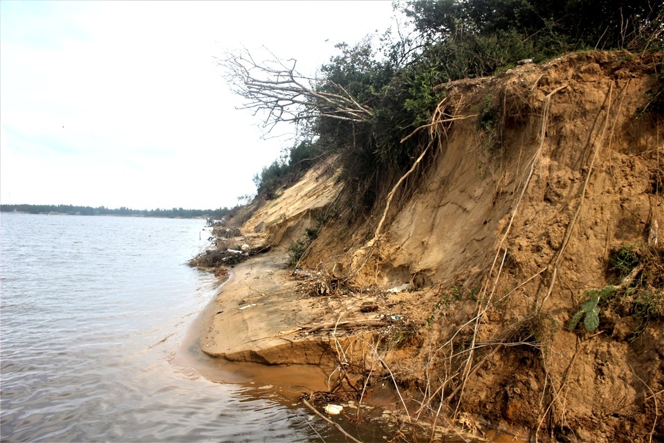 Cửa biển Cửa Lở (xã đảo Tam Hải) bị sạt lở nghiêm trọng Quảng Nam: Tan hoang bờ biển ở xã đảo Tam Hải