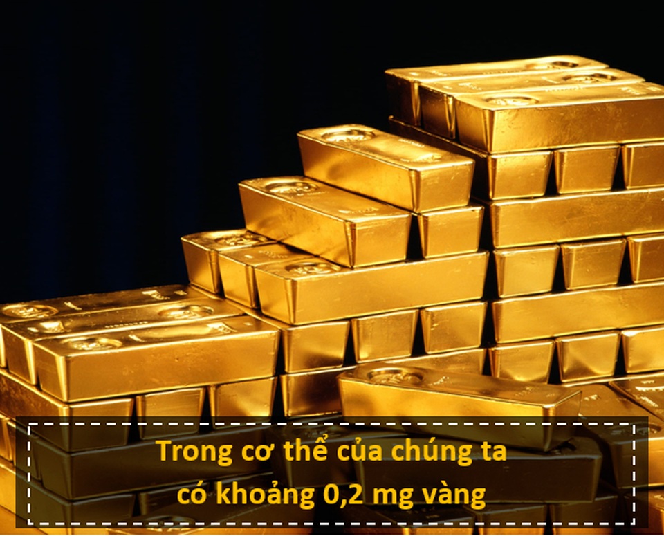 10 sự thật bất ngờ sẽ khiến bạn nhìn thế giới theo một cách khác - 4 10 sự thật bất ngờ sẽ khiến bạn nhìn thế giới theo một cách khác - 4