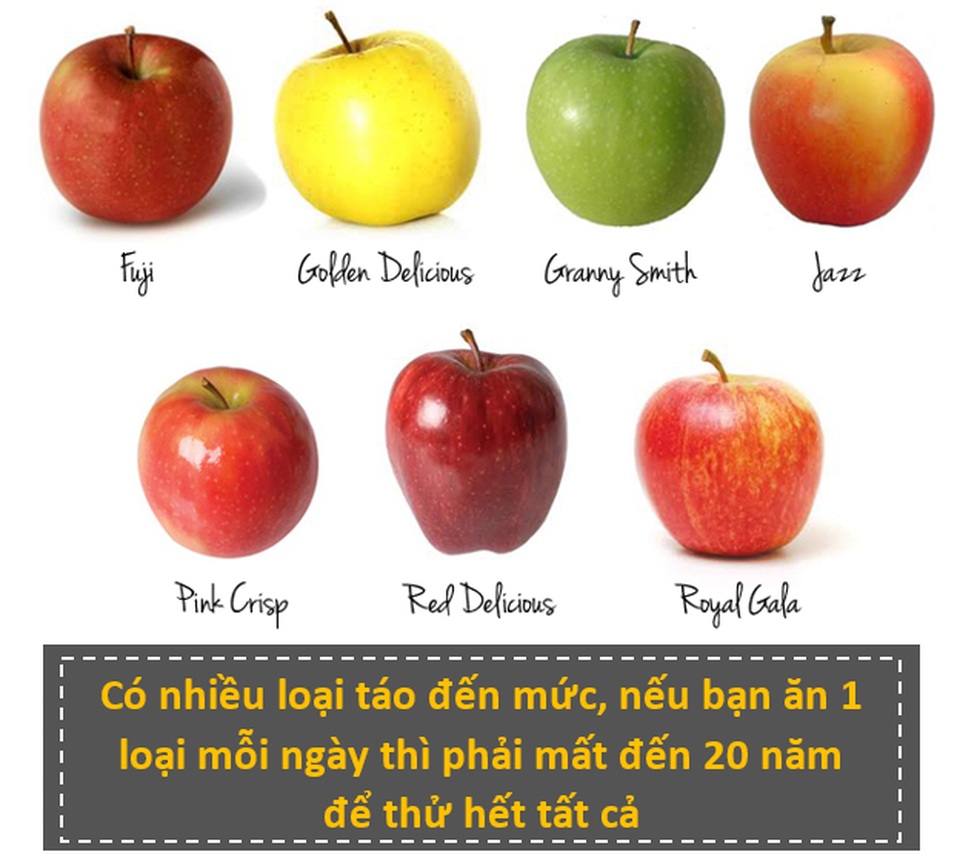 10 sự thật bất ngờ sẽ khiến bạn nhìn thế giới theo một cách khác - 5 10 sự thật bất ngờ sẽ khiến bạn nhìn thế giới theo một cách khác - 5