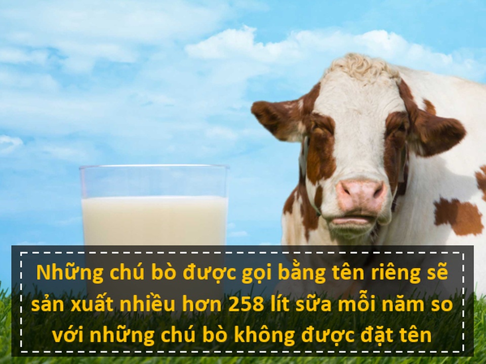 10 sự thật bất ngờ sẽ khiến bạn nhìn thế giới theo một cách khác - 2 10 sự thật bất ngờ sẽ khiến bạn nhìn thế giới theo một cách khác - 2