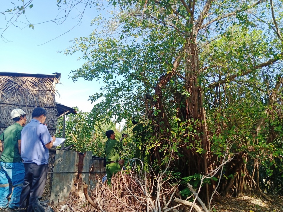 Diễn tiến lạ trong vụ chặt cây trên đất đã mua, nguy cơ bị ngồi tù tại Kiên Giang - 2 Diễn tiến lạ trong vụ chặt cây trên đất đã mua, nguy cơ bị ngồi tù tại Kiên Giang - 2
