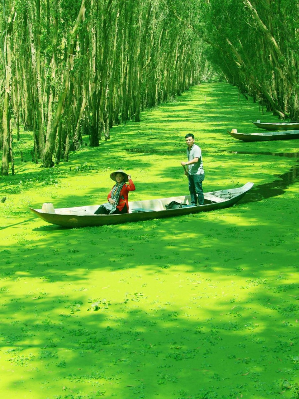 Màu xanh mê hoặc của rừng tràm Trà Sư mùa nước nổi - 6 Màu xanh mê hoặc của rừng tràm Trà Sư mùa nước nổi - 6