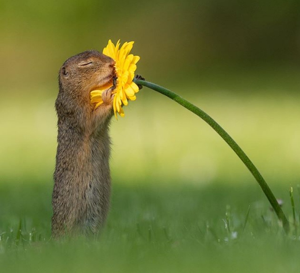 Những bức ảnh dành cho bất cứ ai nghĩ rằng “Tôi đã nhìn thấy mọi thứ” - 11