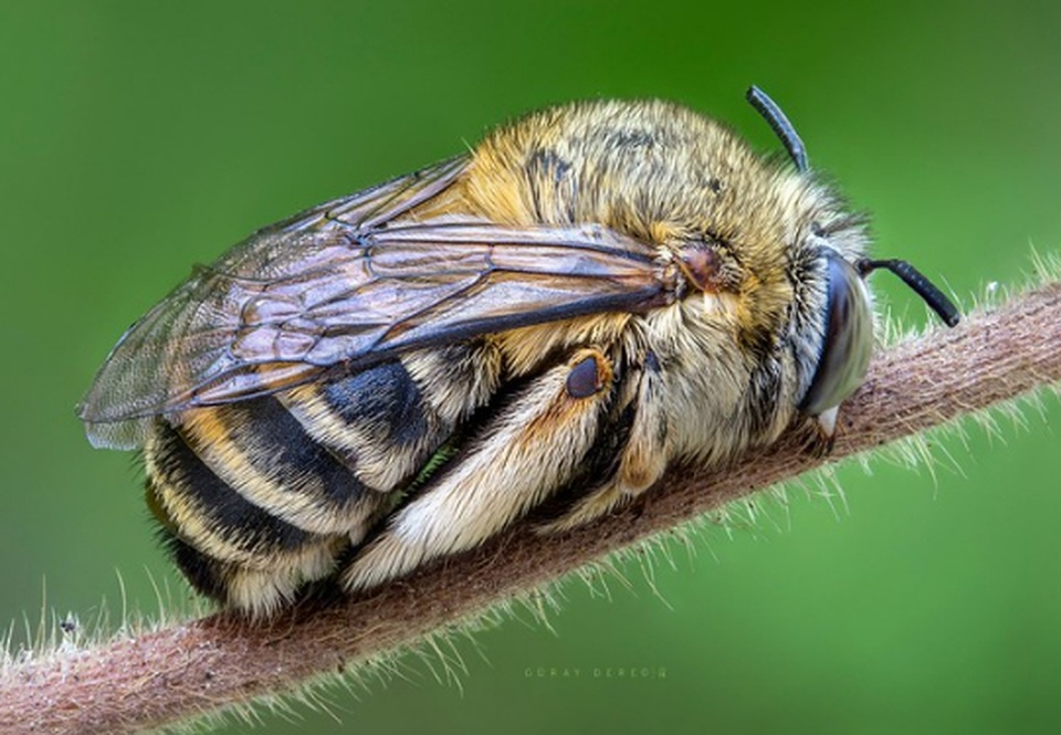 Những bức ảnh dành cho bất cứ ai nghĩ rằng “Tôi đã nhìn thấy mọi thứ” - 1