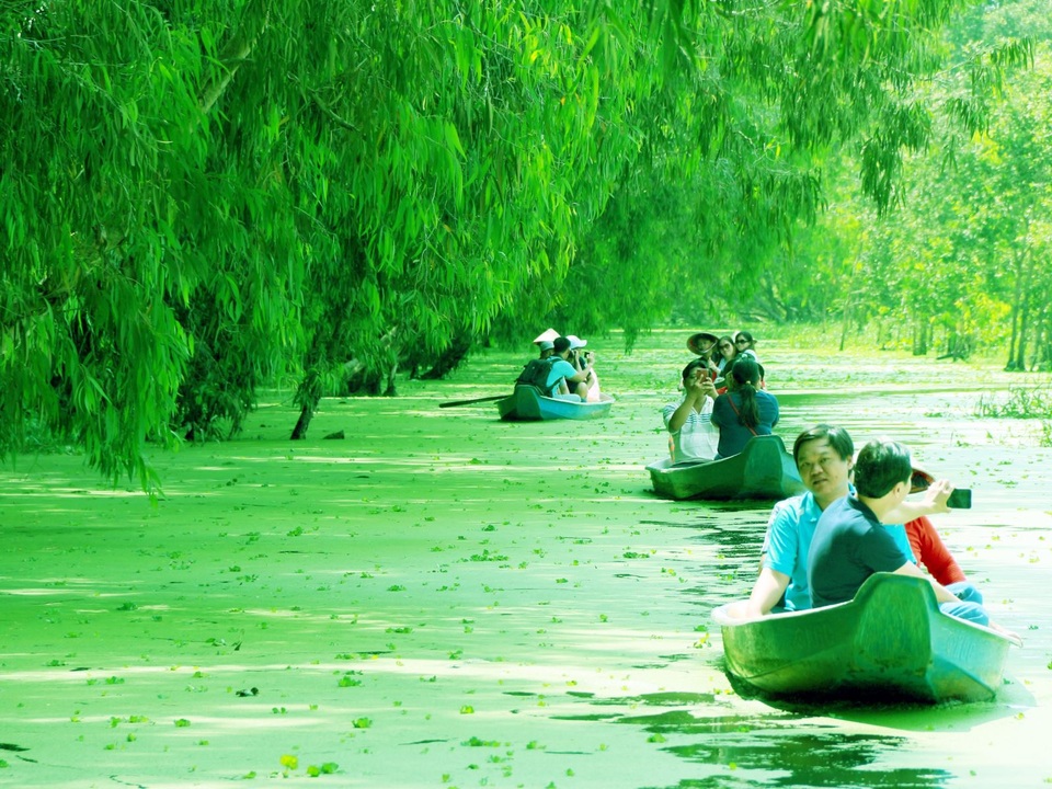 Màu xanh mê hoặc của rừng tràm Trà Sư mùa nước nổi - 1 Màu xanh mê hoặc của rừng tràm Trà Sư mùa nước nổi - 1