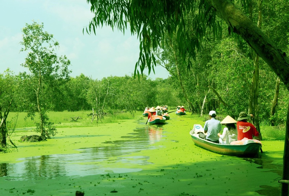 Màu xanh mê hoặc của rừng tràm Trà Sư mùa nước nổi - 3 Màu xanh mê hoặc của rừng tràm Trà Sư mùa nước nổi - 3