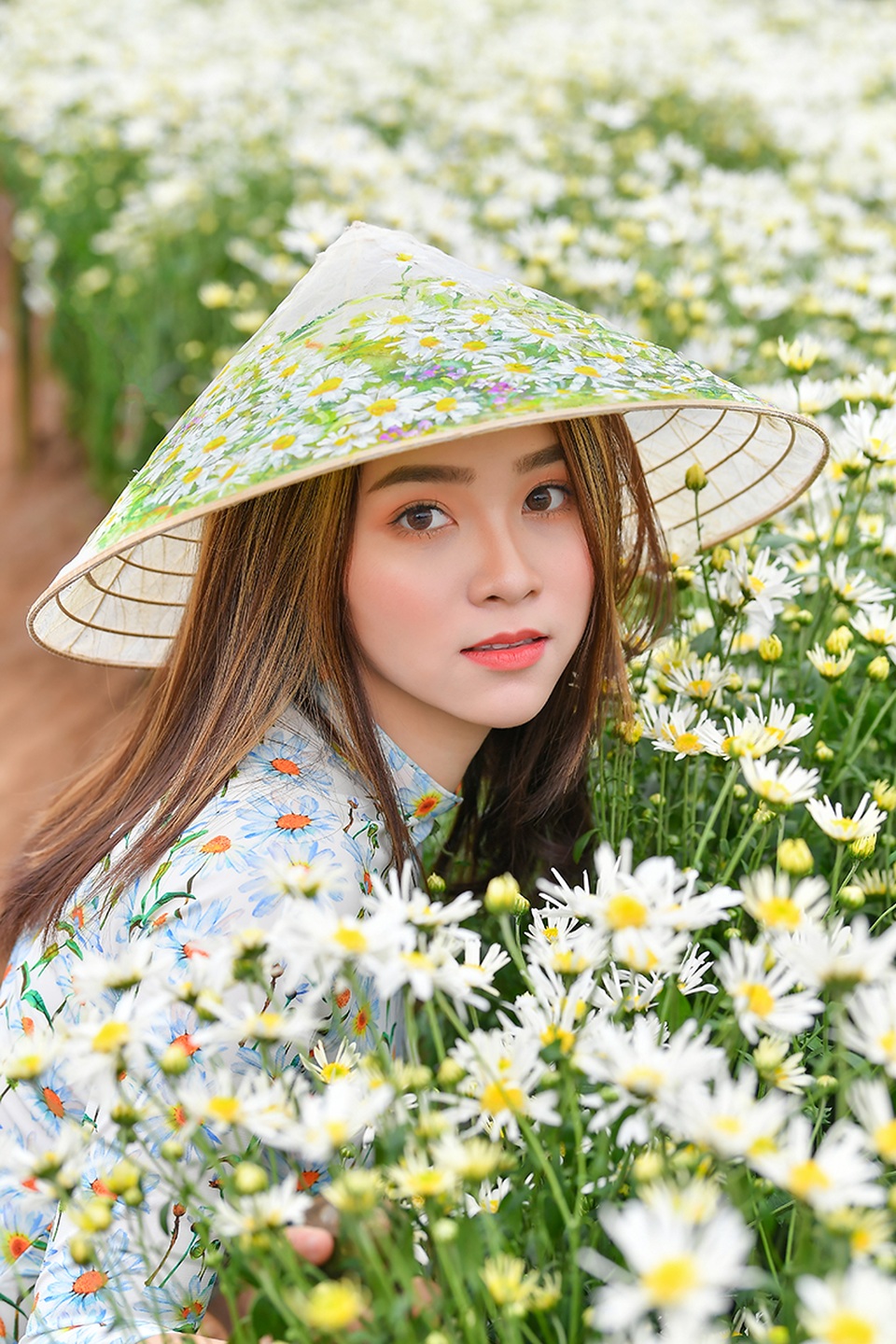 Nữ sinh 2K khoe sắc trên cánh đồng cúc họa mi Hà Nội - 5 Nữ sinh 2K khoe sắc trên cánh đồng cúc họa mi Hà Nội - 5