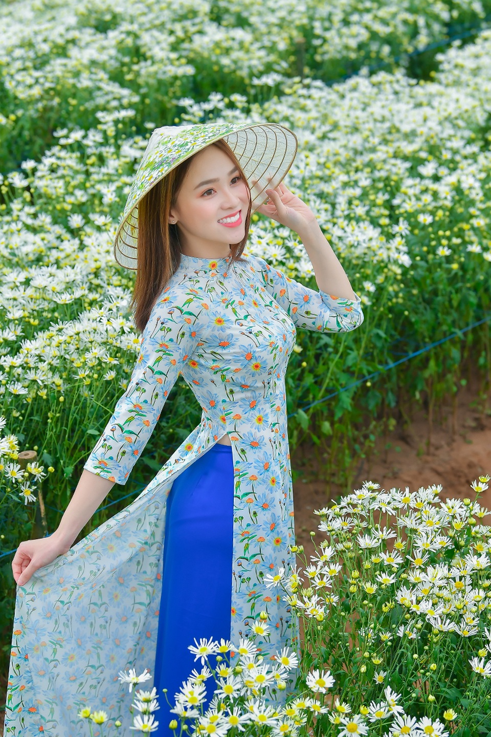 Nữ sinh 2K khoe sắc trên cánh đồng cúc họa mi Hà Nội - 1 Nữ sinh 2K khoe sắc trên cánh đồng cúc họa mi Hà Nội - 1